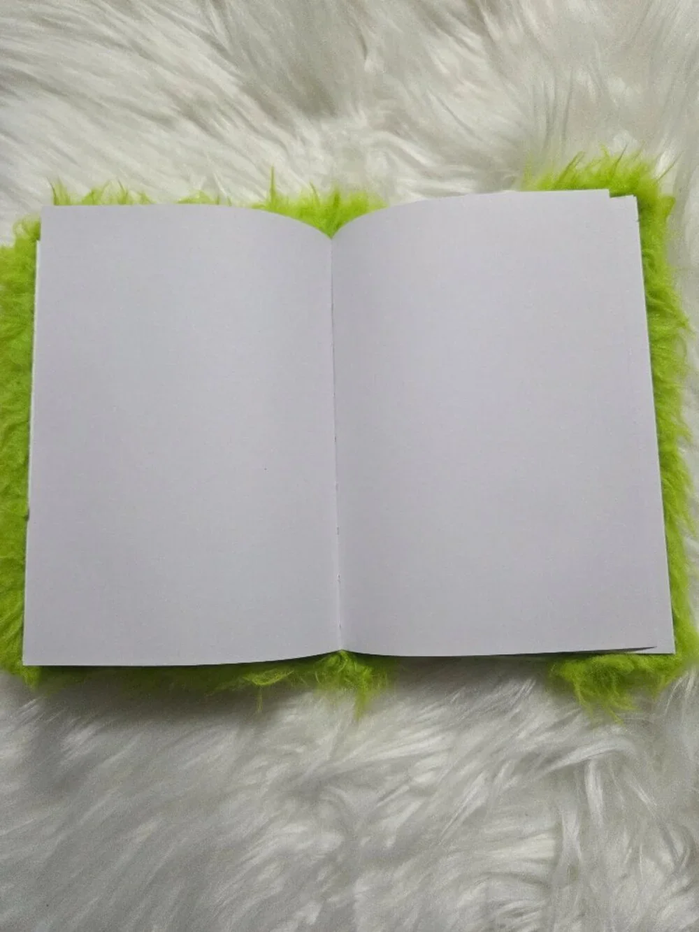Fuzzy Monster Notebook Set